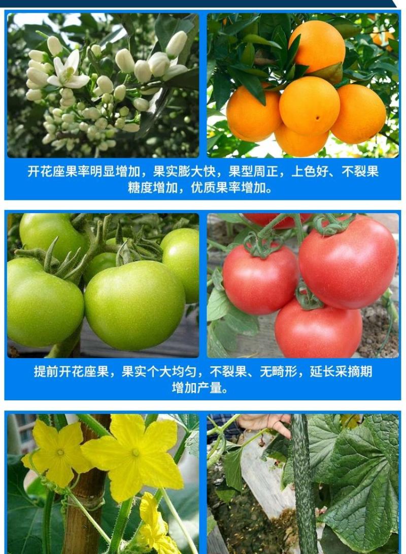 有机肥发酵纯羊粪加菌羊粪羊粪有机肥