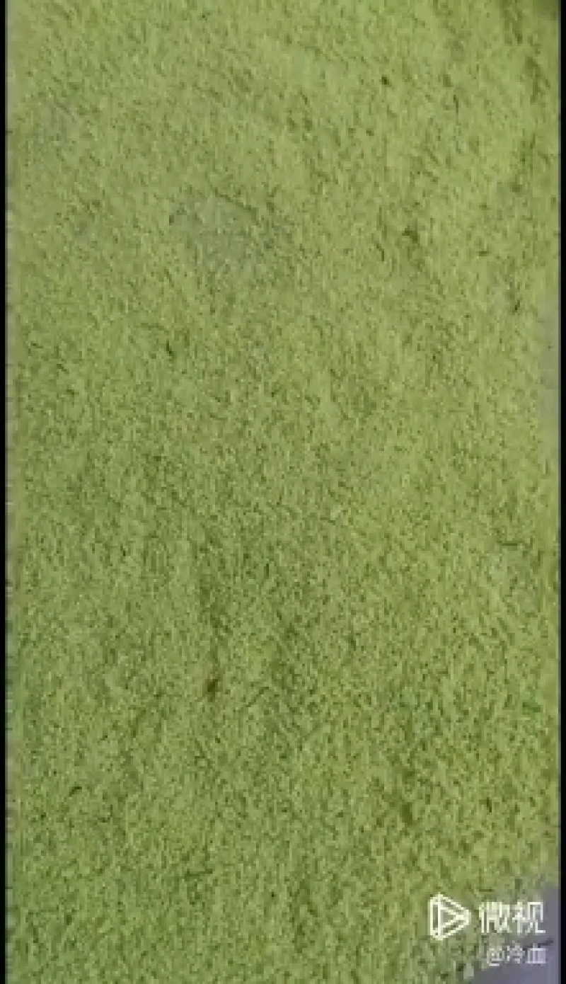 欢迎预订45-6-7-8月份的虫卵，专业养殖豆虫（豆丹）
