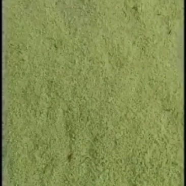 欢迎预订45-6-7-8月份的虫卵，专业养殖豆虫（豆丹）