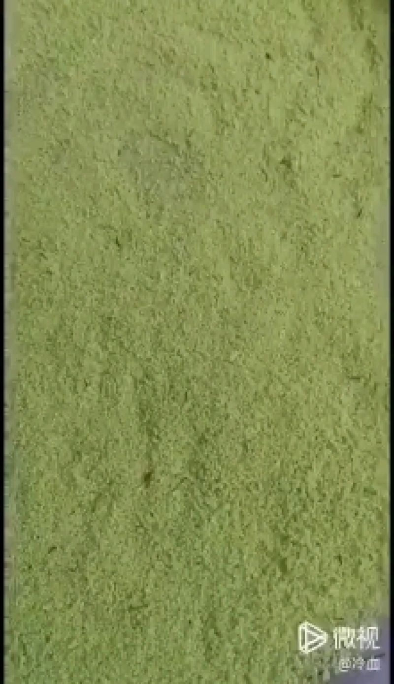 欢迎预订45-6-7-8月份的虫卵，专业养殖豆虫（豆丹）