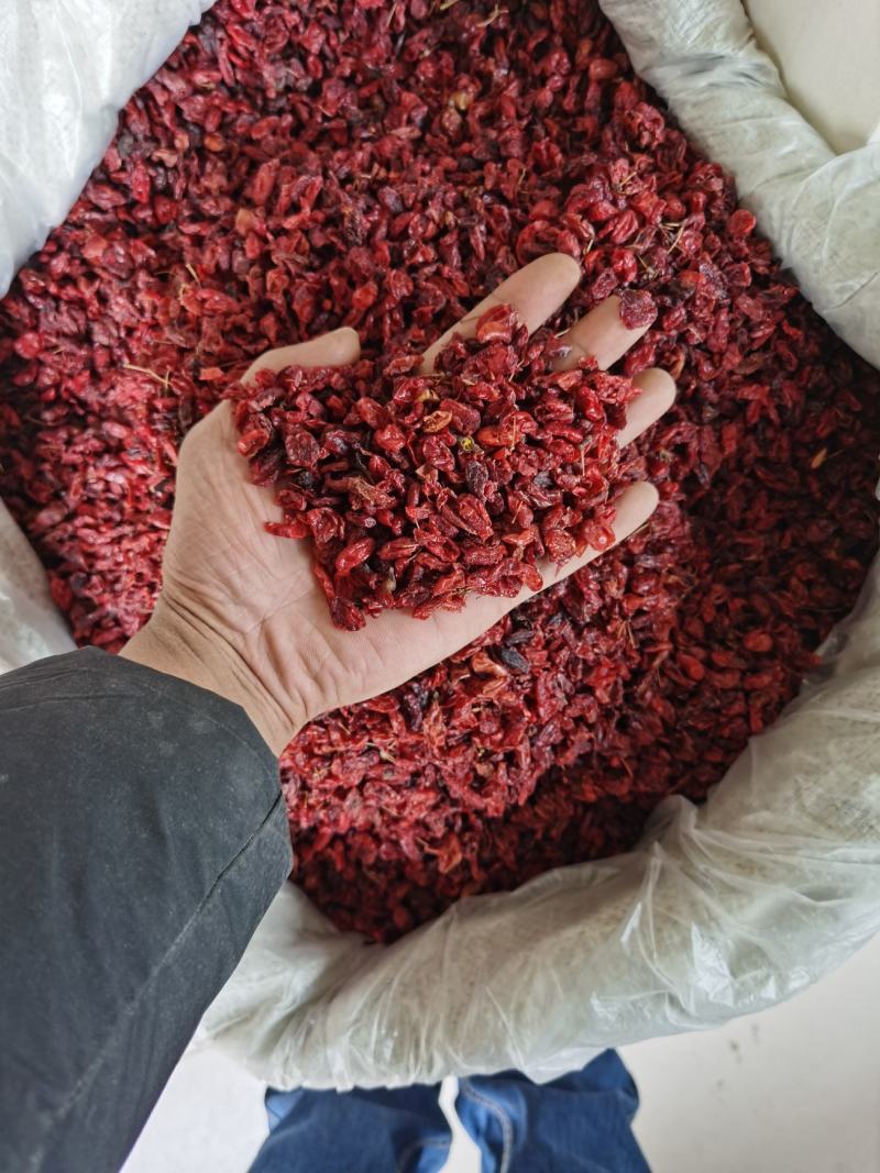 精品山萸肉萸肉无硫大货供应保证不掺假一分钱一分