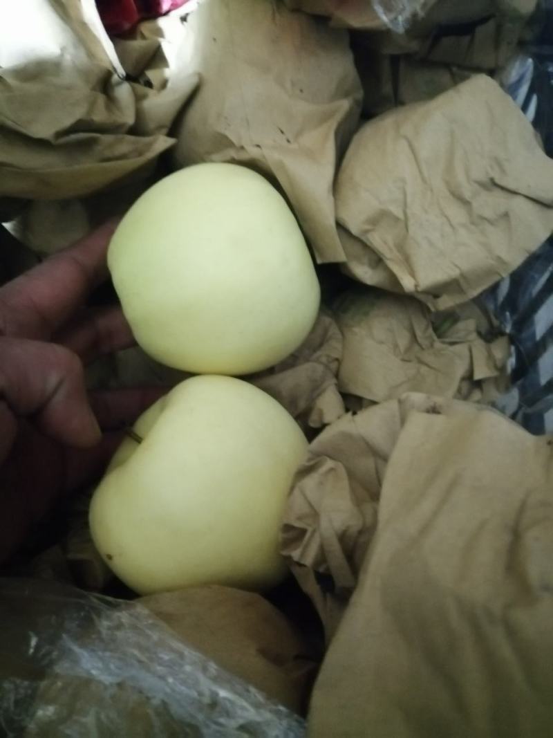 黄元帅大量出库，质量好，价格超便宜，需要的联系