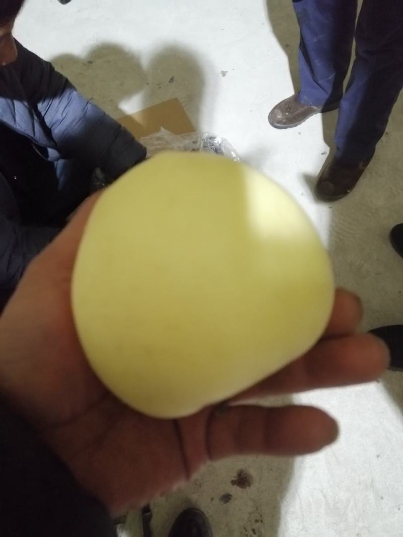 黄元帅大量出库，质量好，价格超便宜，需要的联系
