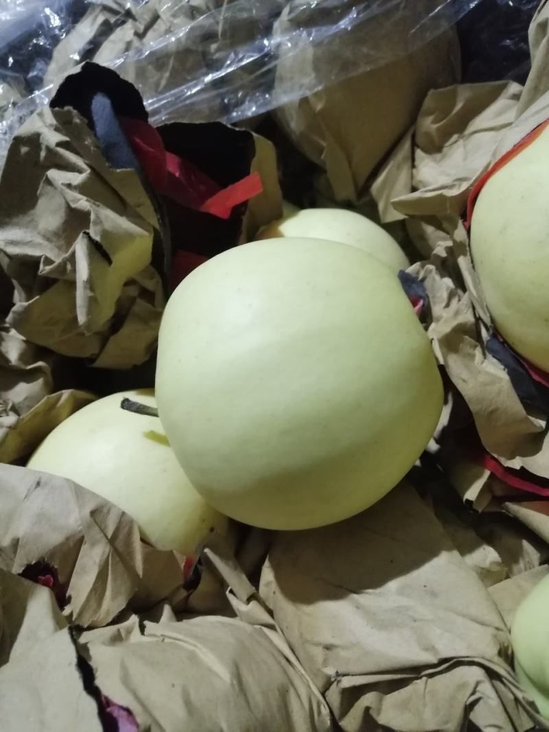 黄元帅大量出库，质量好，价格超便宜，需要的联系