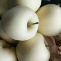 黄元帅大量出库，质量好，价格超便宜，需要的联系