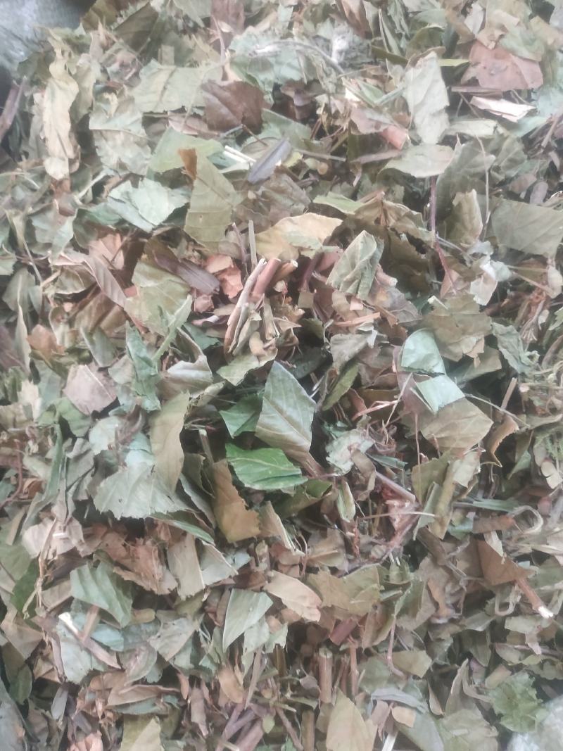 葫芦茶～新货～1公斤起售～量大优惠～欢迎咨询采购