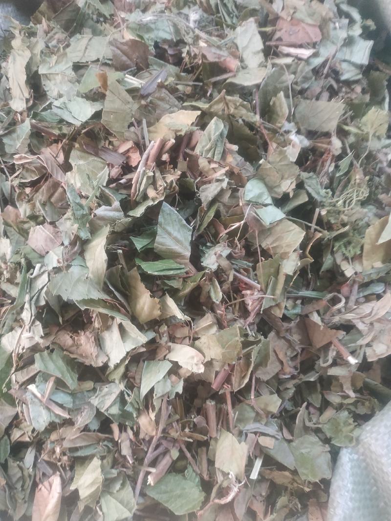 葫芦茶～新货～1公斤起售～量大优惠～欢迎咨询采购