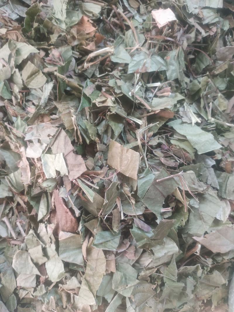 葫芦茶～新货～1公斤起售～量大优惠～欢迎咨询采购