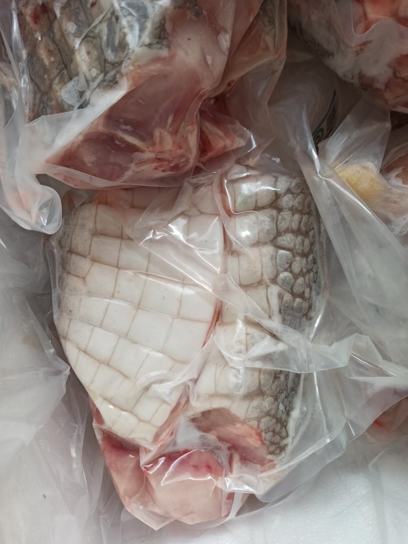 有皮去鳞鳄鱼肉质优价廉每袋都有经营利用标识贴合法销售