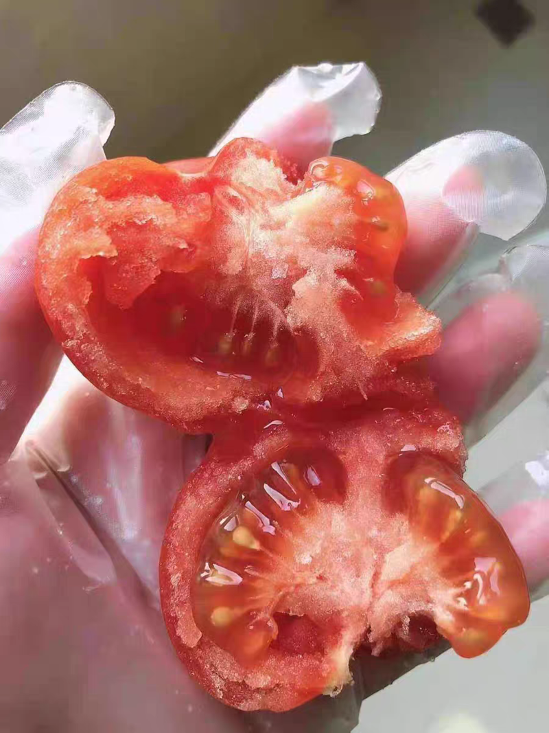 大红沙瓤西红柿生吃自然熟大番茄非毛粉柿批发现摘现发产地直
