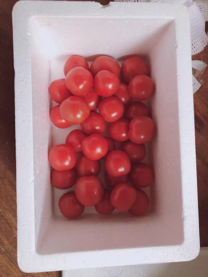 大红沙瓤西红柿生吃自然熟大番茄非毛粉柿批发现摘现发产地直
