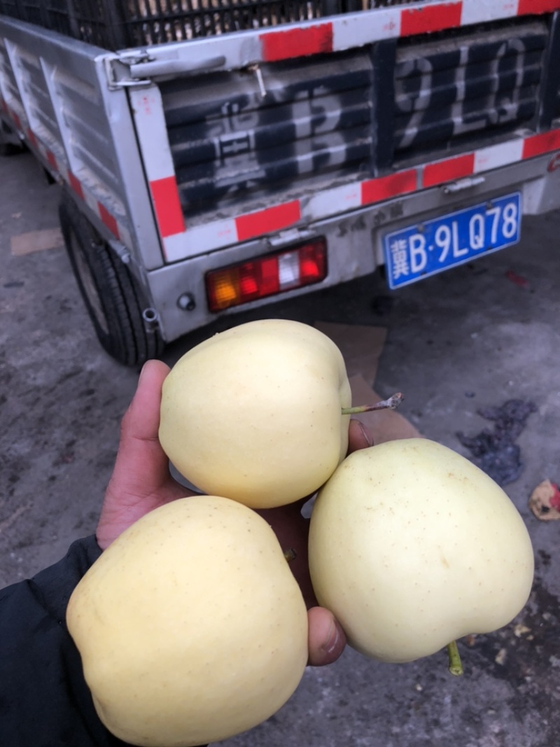 黄元帅出库，质量好，价格便宜，需要的朋友可以联系我，