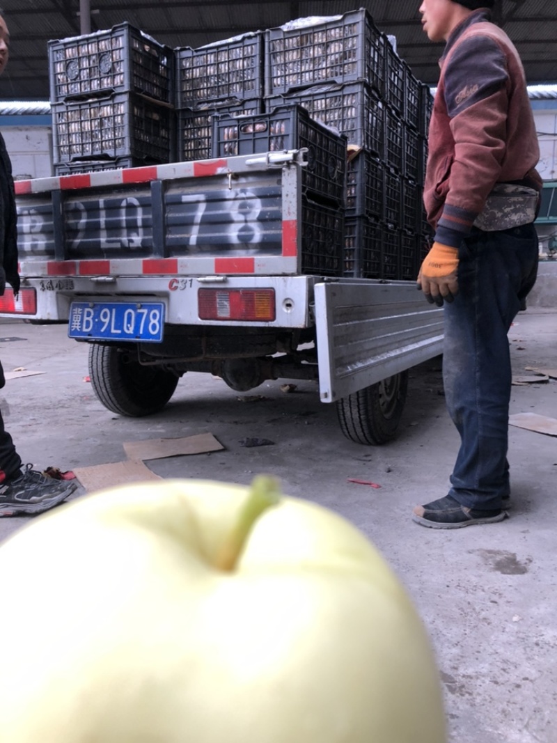 黄元帅出库，质量好，价格便宜，需要的朋友可以联系我，