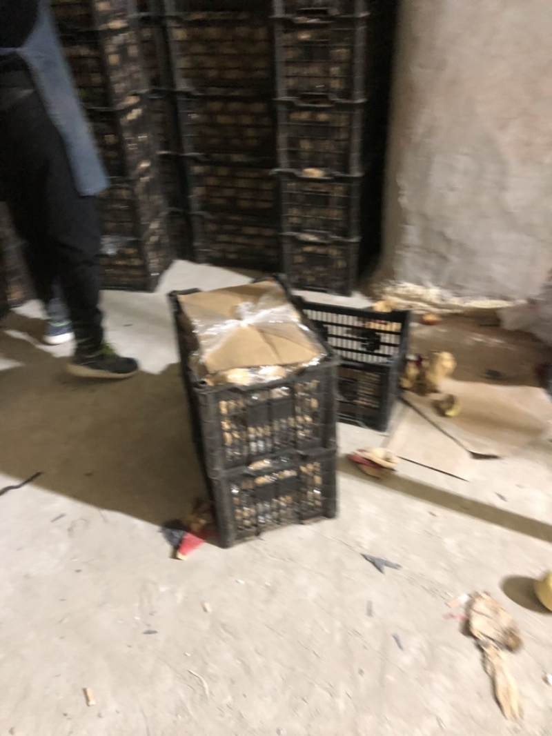 黄元帅出库，质量好，价格便宜，需要的朋友可以联系我，