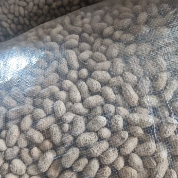 湖北襄阳花生白沙干花生罗汉花生果花生米精选花生产地直发