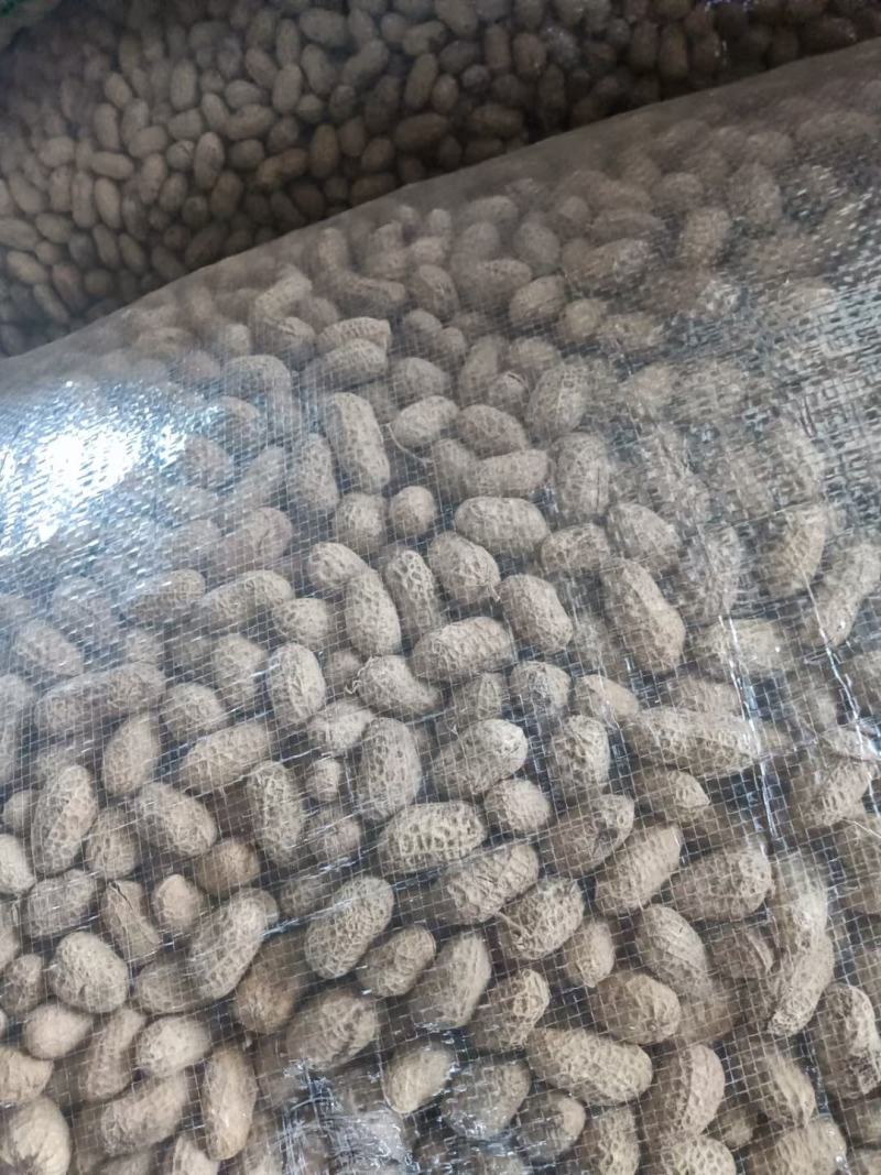 湖北襄阳花生白沙干花生罗汉花生果花生米精选花生产地直发