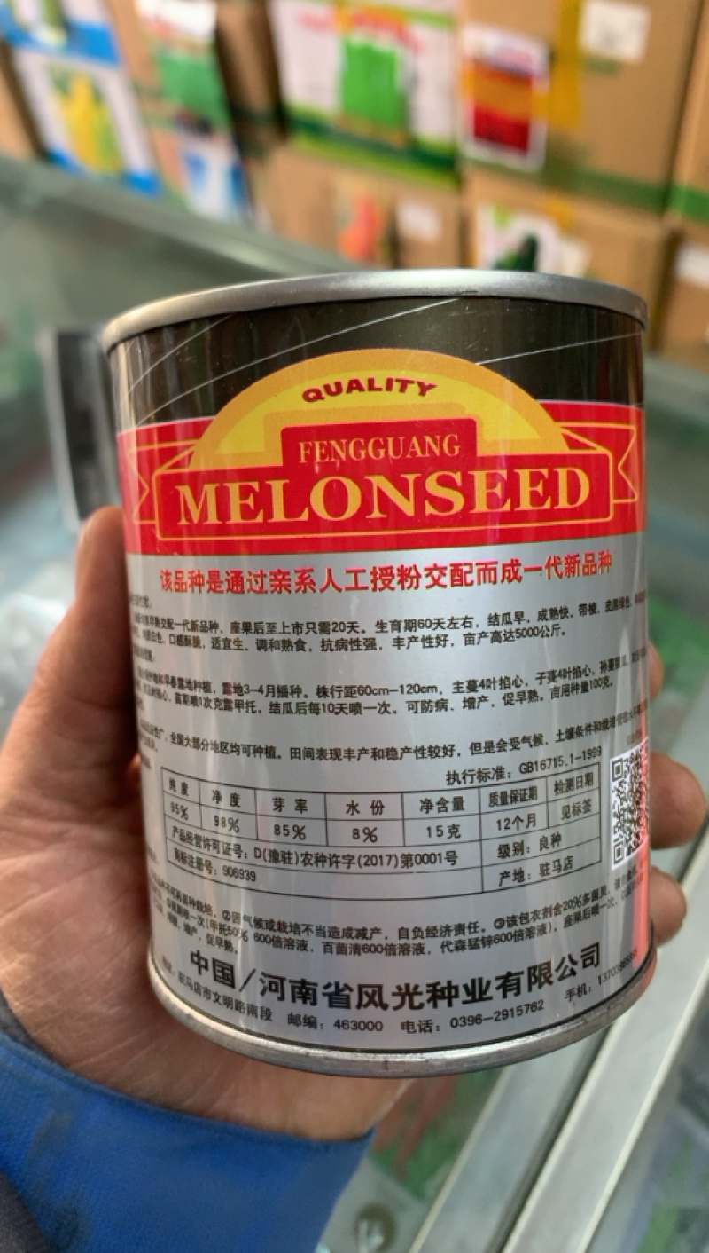 超早黑皮菜瓜种子风光牌杂交黑皮菜瓜种子