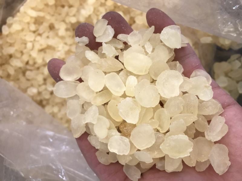 皂角米雪莲子双颊双夹大颗粒产地批发单荚精品