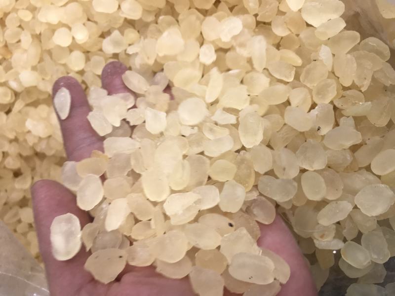 皂角米雪莲子双颊双夹大颗粒产地批发单荚精品