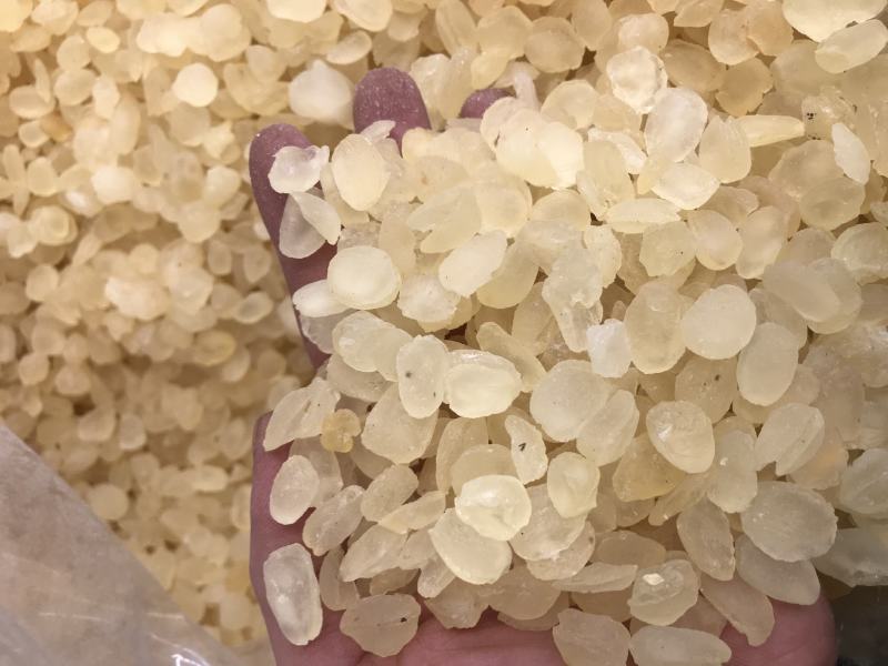 皂角米雪莲子双颊双夹大颗粒产地批发单荚精品
