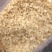 皂角米雪莲子双颊双夹大颗粒产地批发单荚精品