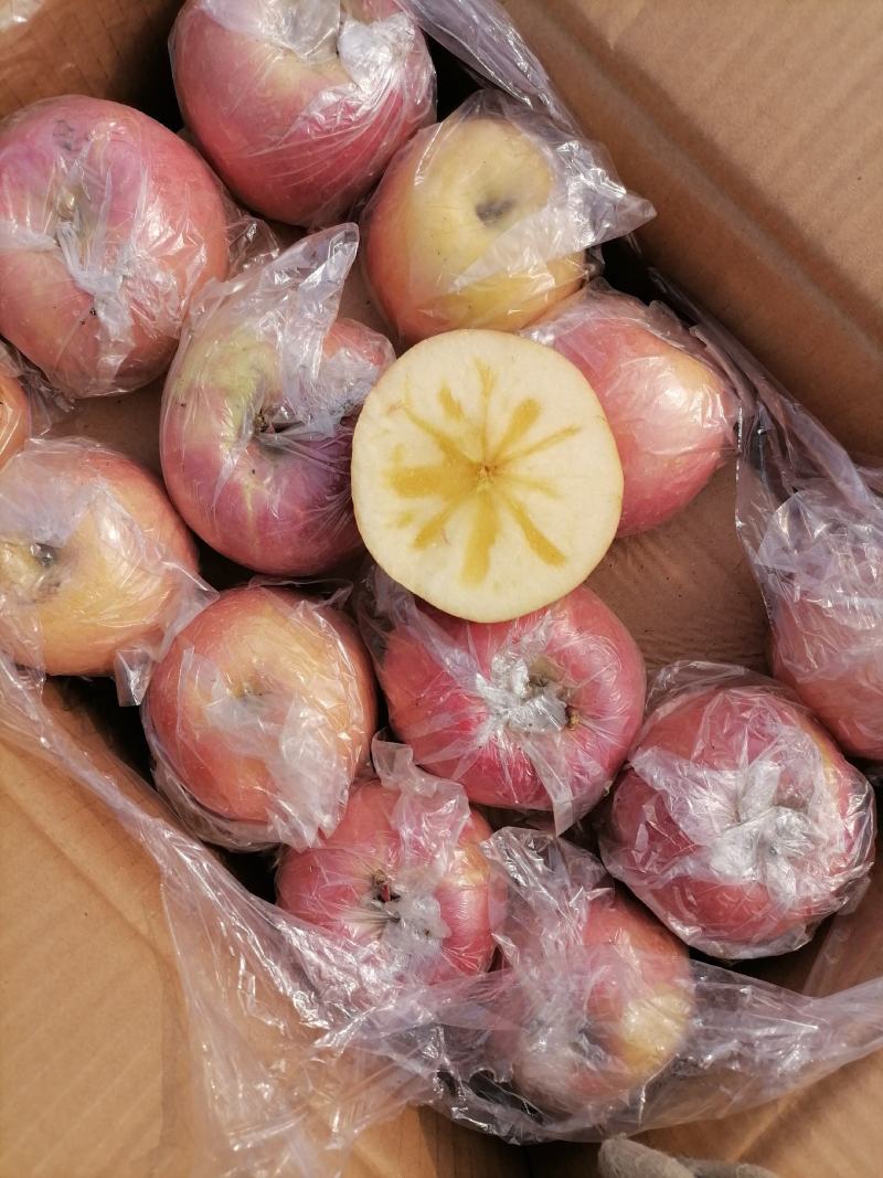 山西运城冰糖心苹果大量批发
