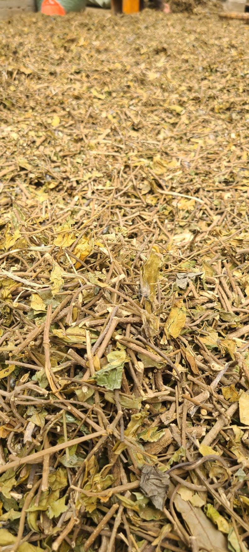 武靴藤匙羹藤大量现货大量供应...