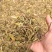 武靴藤匙羹藤大量现货大量供应...
