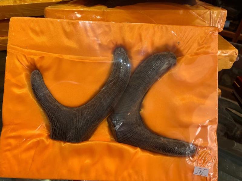 好货长白山鹿茸片，鹿茸礼盒，一瓶半斤250克，价格合理