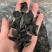 木耳，青川特产，干度质量好，泡过后肉厚，大量现货需要联系