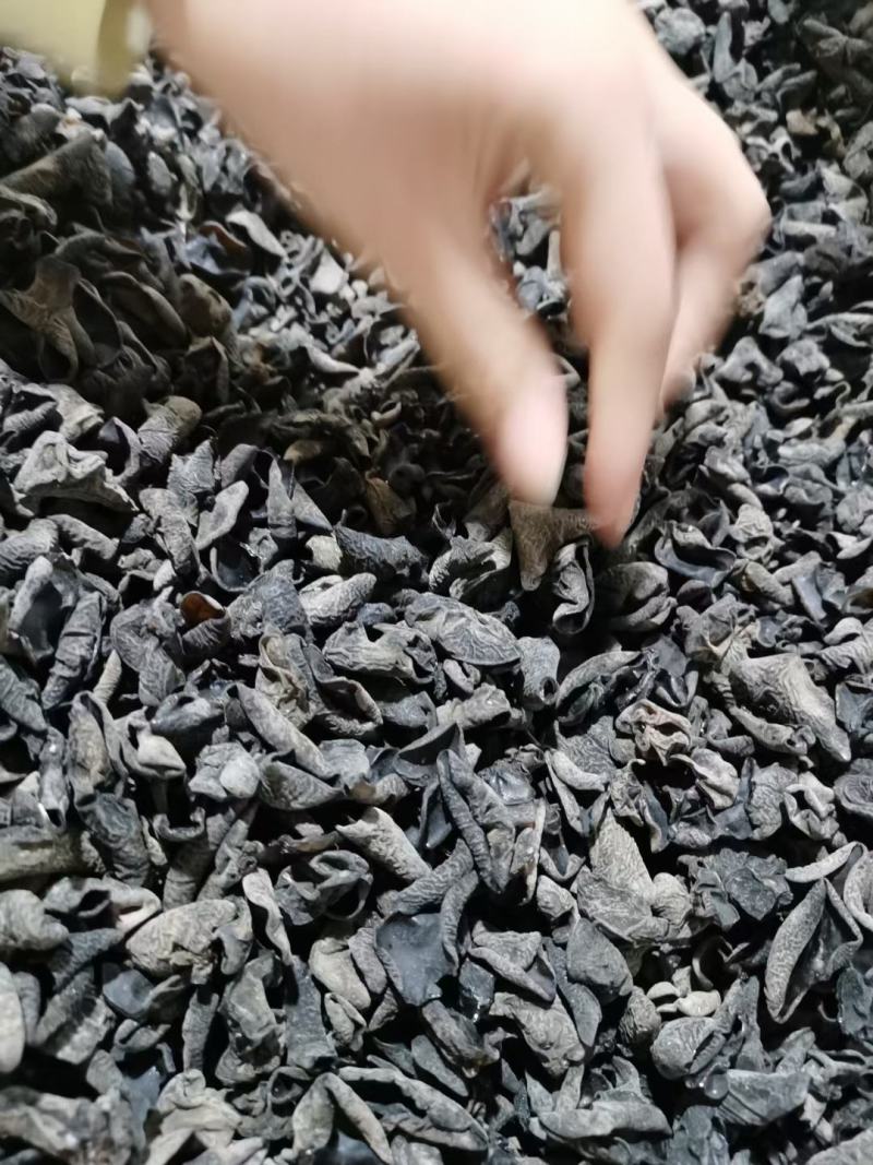 木耳，青川特产，干度质量好，泡过后肉厚，大量现货需要联系