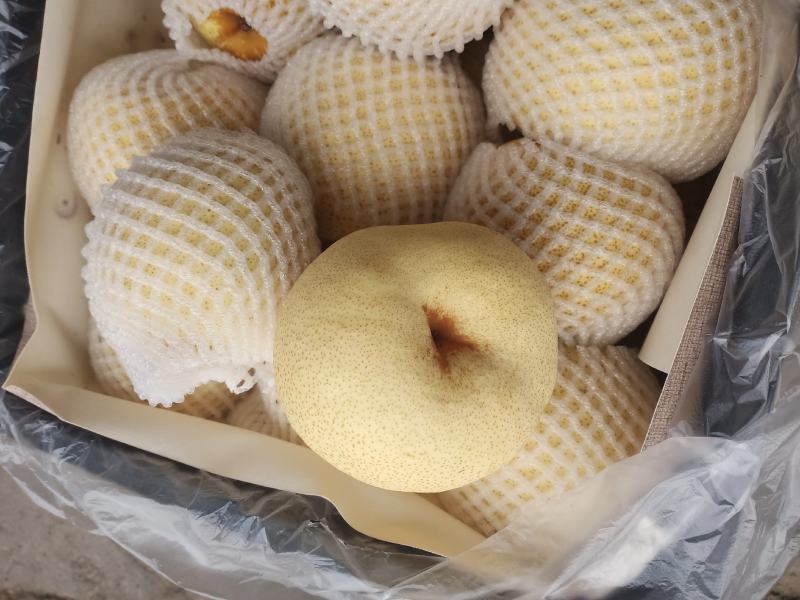 安徽梨，砀山酥梨，贡梨，全国代发，保证质量。