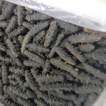 海参，干海参，可以带泡发海参