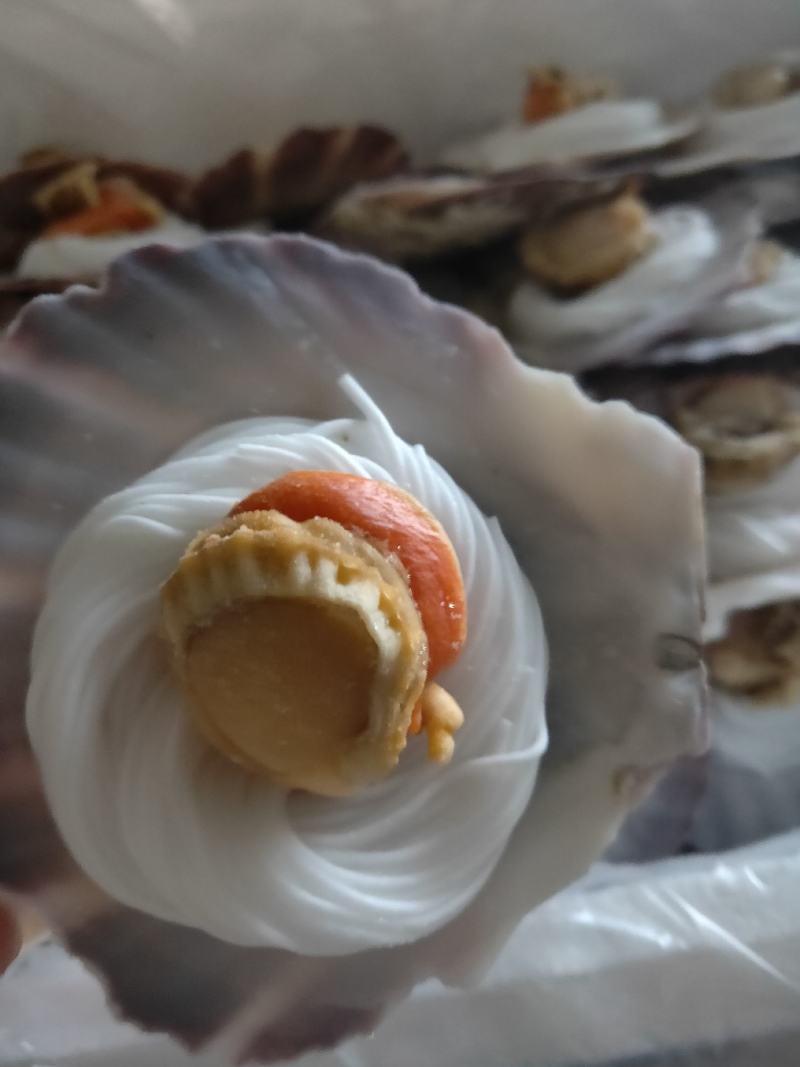 扇贝粉丝，半壳扇贝粉丝扇贝肉