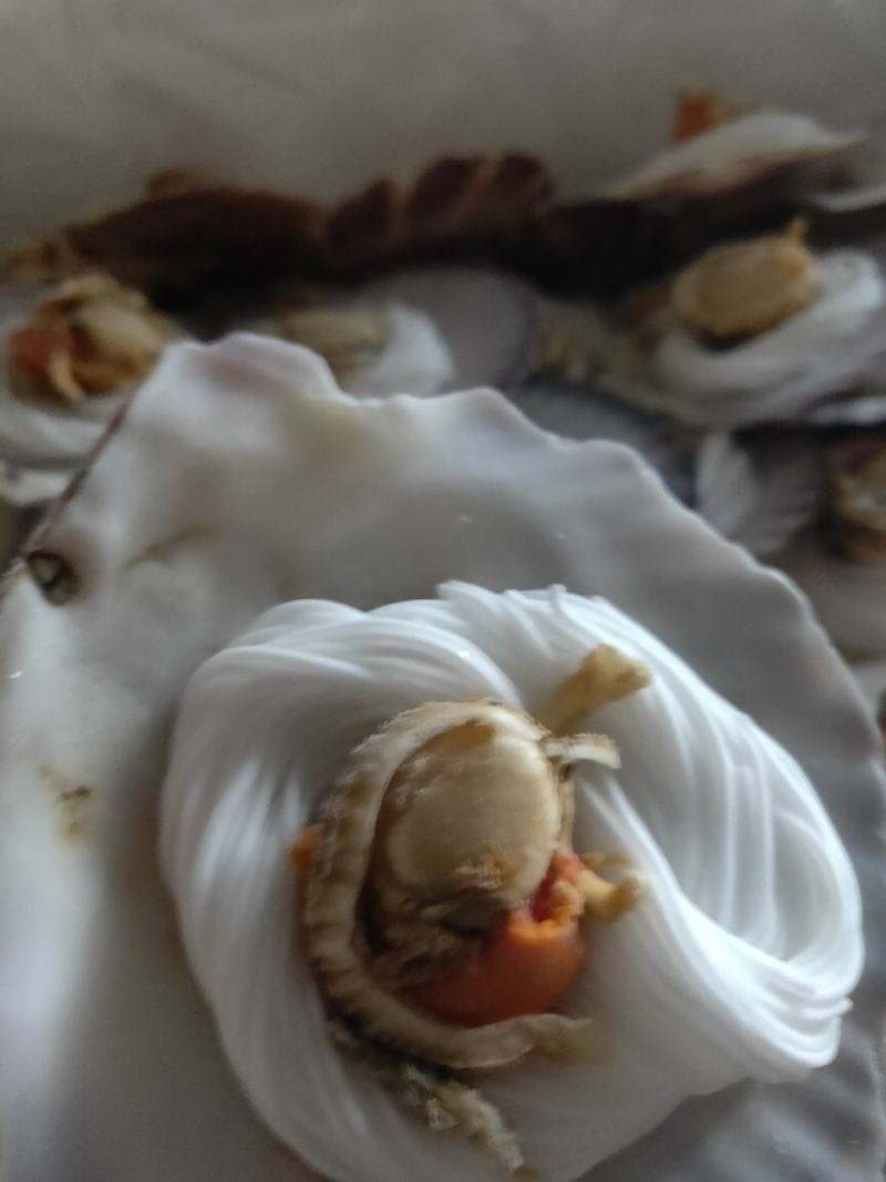 扇贝粉丝，半壳扇贝粉丝扇贝肉