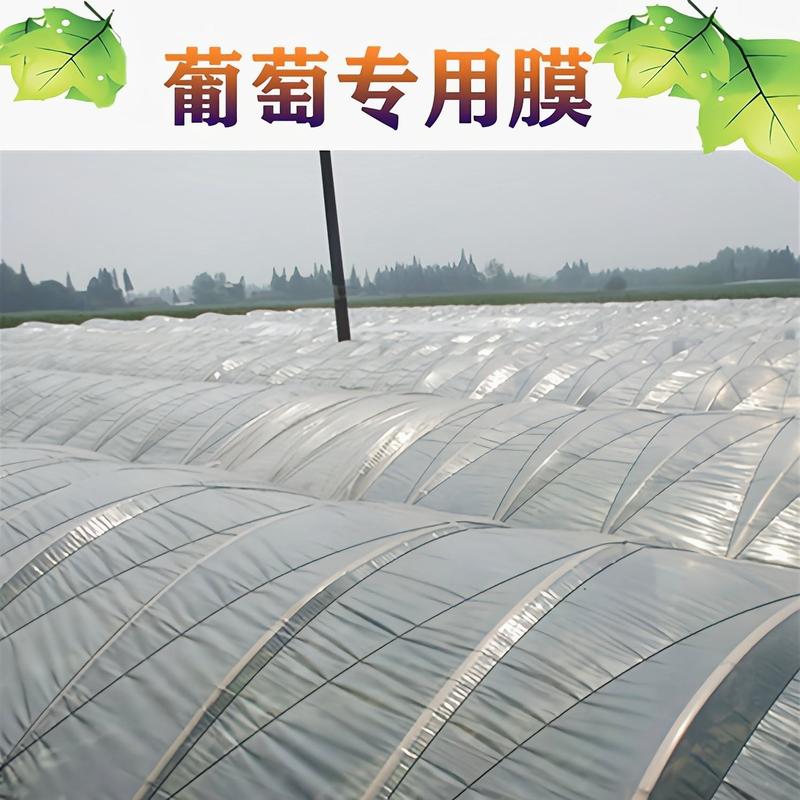 大棚膜农膜塑料薄膜葡萄避雨棚专用膜防尘避雨防寒保温