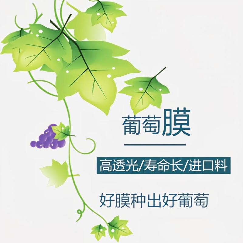大棚膜农膜塑料薄膜葡萄避雨棚专用膜防尘避雨防寒保温