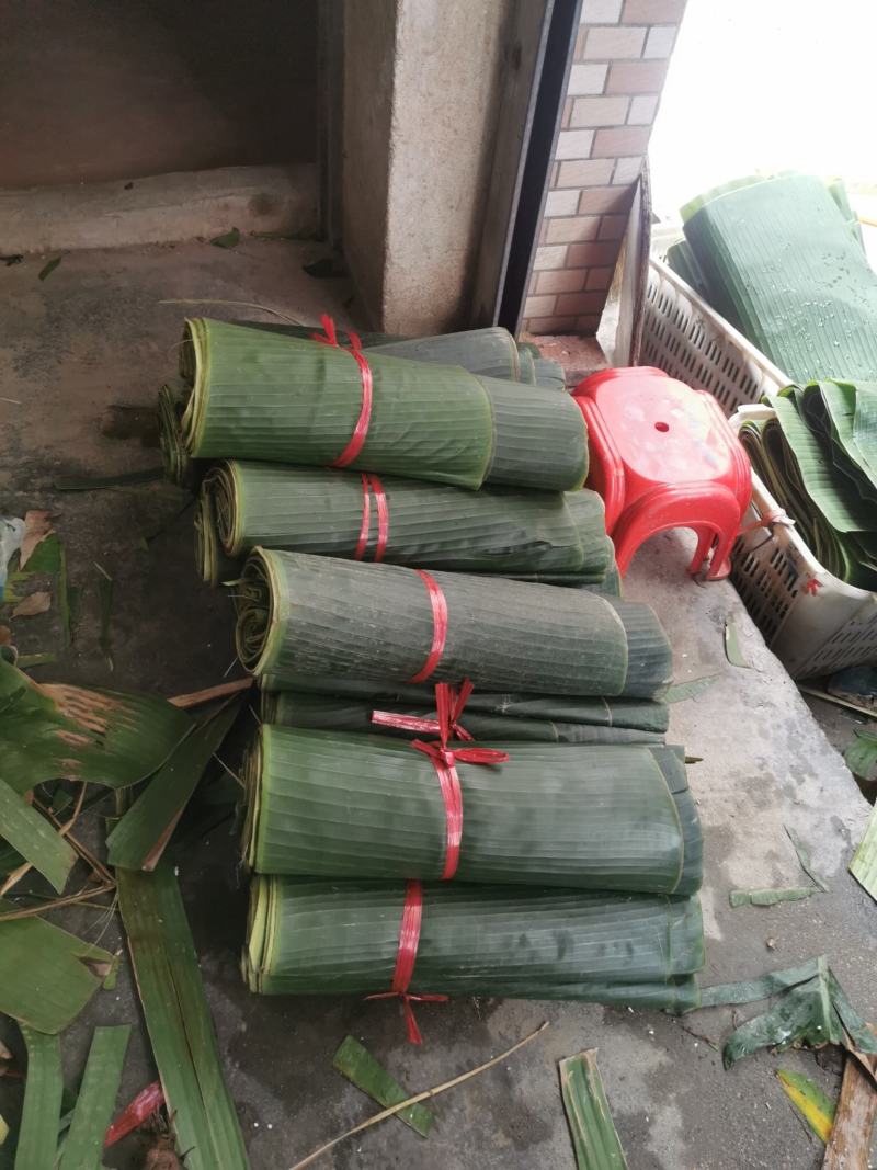 芭蕉叶、每天新鲜采割，当天发货、欢迎各位前来订购！！！