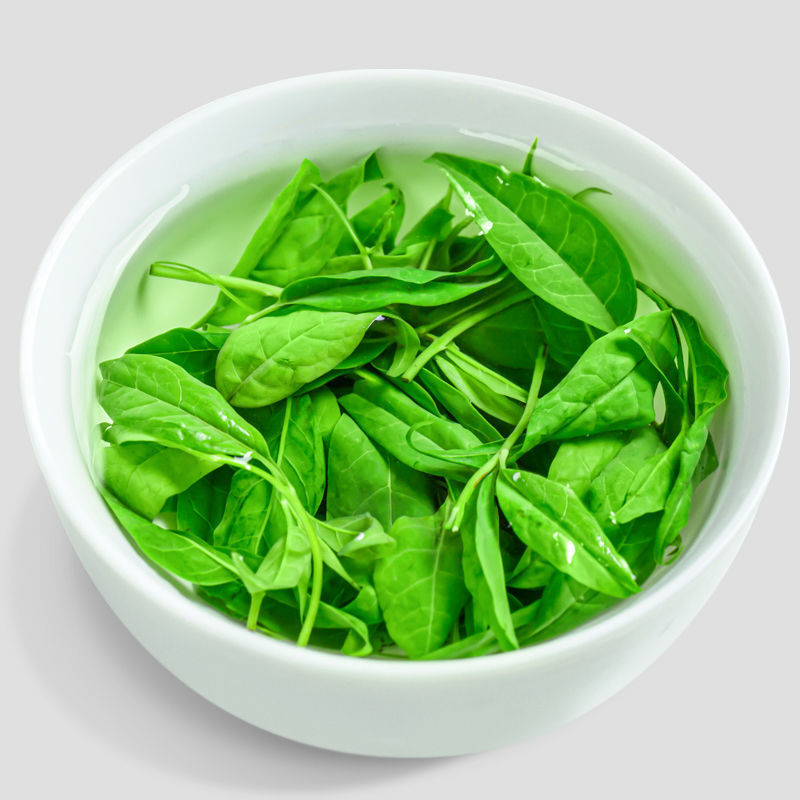 小叶苦丁茶嫩叶贵州余庆嫩芽散装青山绿水苦丁