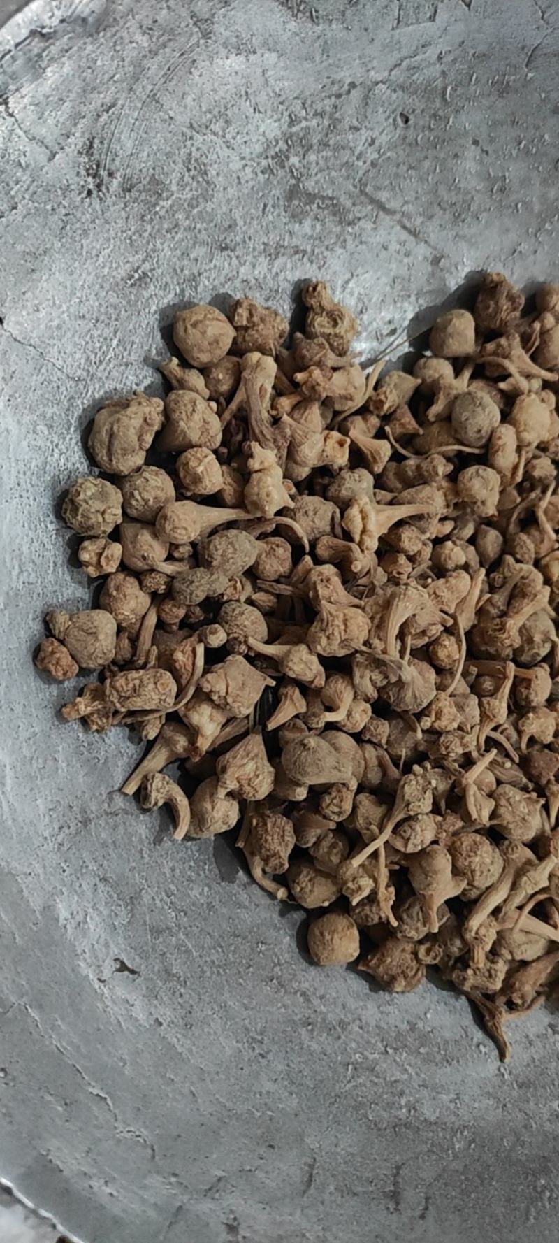 扣子七，珠子参鸡腰参选货大金线吊葫芦需要联系我