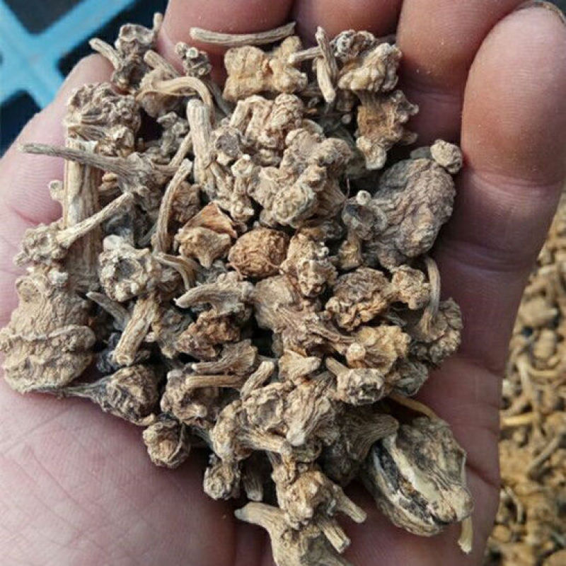 扣子七，珠子参鸡腰参选货大金线吊葫芦需要联系我