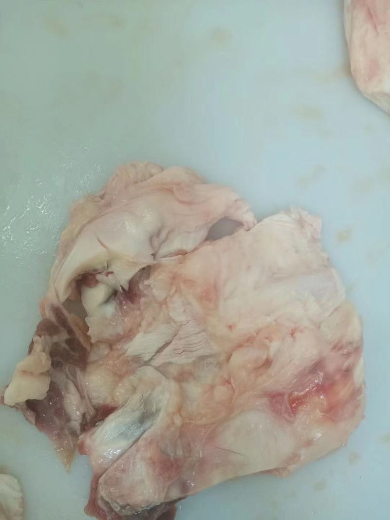牛窝骨筋，纯干精修去油，大块，常年加工