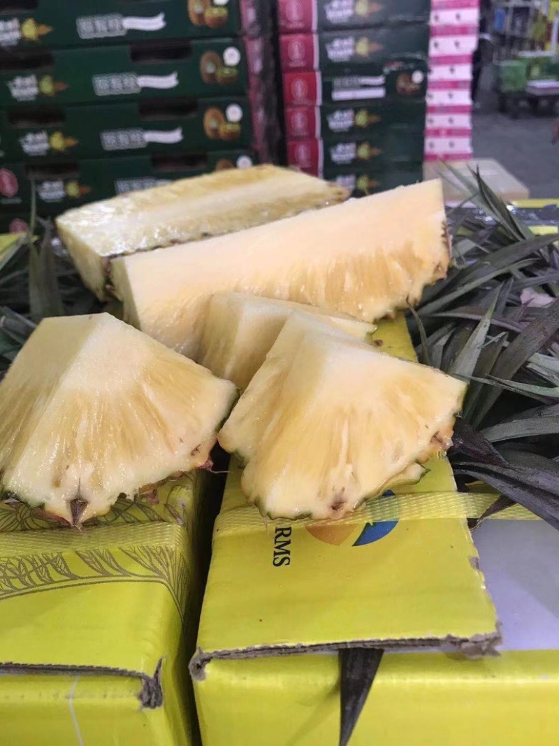 海南台湾精品金钻树上熟特级凤梨口感好顾客回购率高