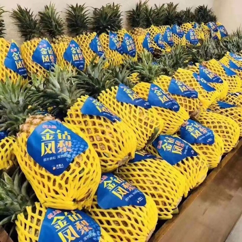 海南台湾精品金钻树上熟特级凤梨口感好顾客回购率高