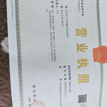 春雪桃，河北省，乐亭县。