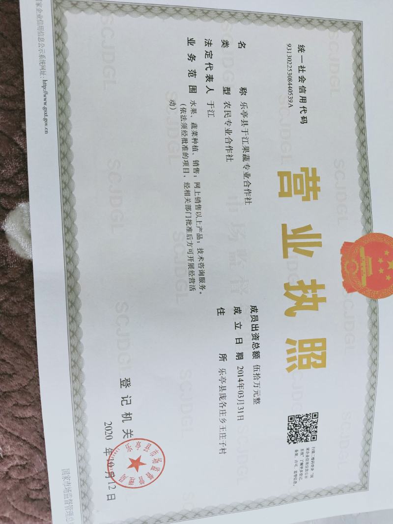 春雪桃，河北省，乐亭县。