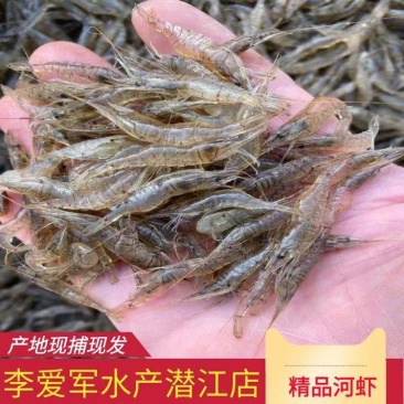 2-4河虾米虾一分价钱一分货精品新鲜