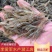 2-4河虾米虾一分价钱一分货精品新鲜