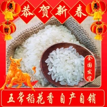 【精选推荐】五常大米长粒香新米上线批发零售香喷可口