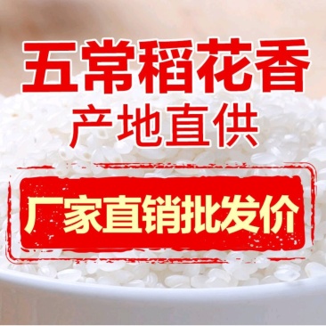 【产地直供】五常稻花香大米，自产自销诚信为本量大从优